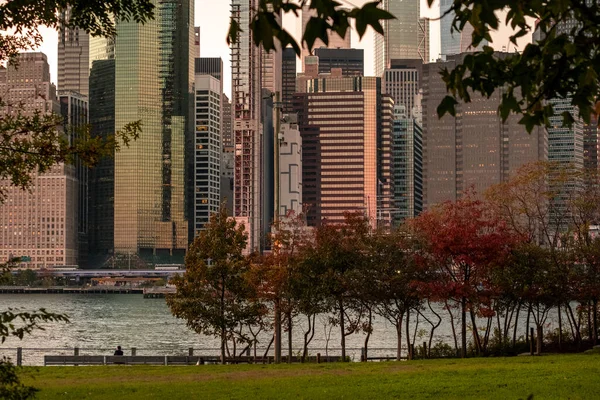 New York Abd Kasım 2020 Brooklyn Köprüsü Parkı Nın Güzel Stok Resim