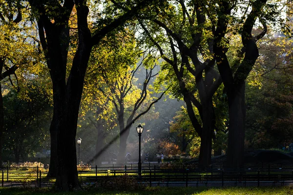 New York Abd Kasım 2020 Central Park Güzel Renkleri New Stok Fotoğraf