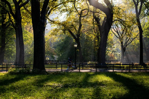 New York Abd Kasım 2020 Central Park Güzel Renkleri New - Stok İmaj