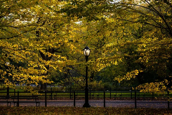New York Abd Kasım 2020 Central Park Güzel Renkleri New Stok Resim