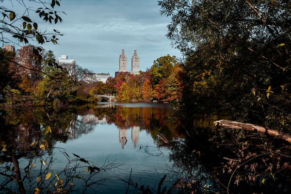 ニューヨーク市 アメリカ 11月5 2020 サンレモ中央公園の美しい葉の色ニューヨーク ロイヤリティフリーのストック写真