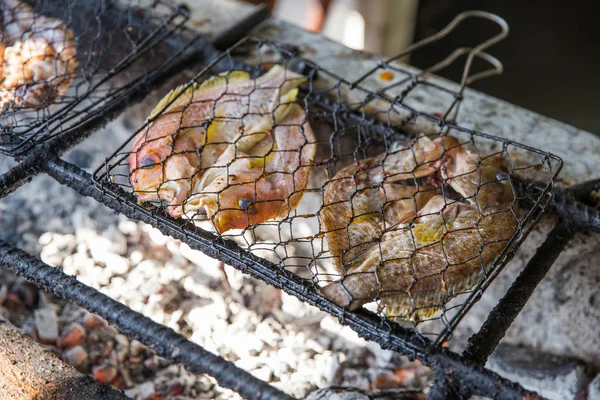 Grilling fish on campfire — Stock Photo, Image