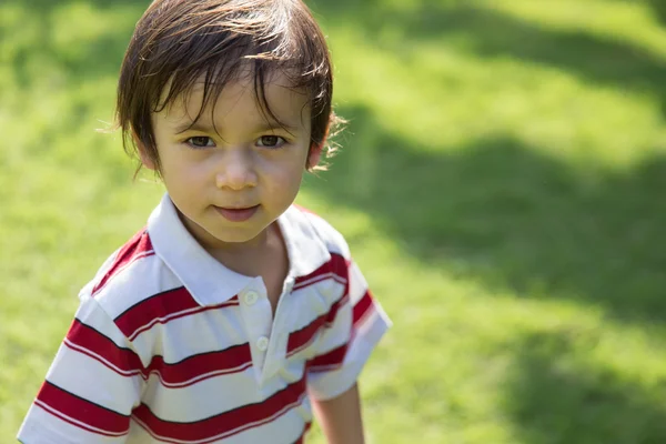 Мальчик гуляет в летнем парке — стоковое фото