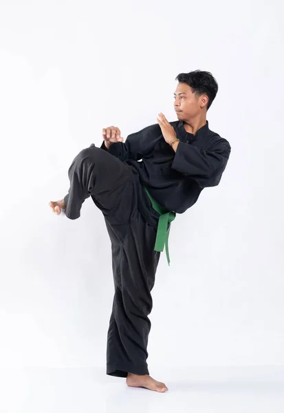 Los hombres que usan uniformes de silat pencak con cinturones verdes realizan movimientos defensivos de las piernas desde patadas — Foto de Stock