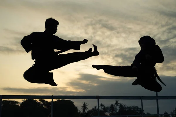 Siluetas de dos luchadores con patadas a la deriva — Foto de Stock