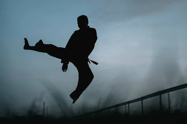 Silhouet van een mannelijke vechter met een zijwaartse kick motion tijdens het springen — Stockfoto