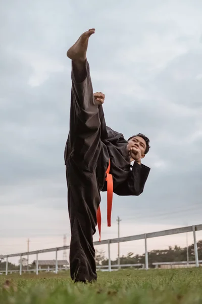 Vista inferior de los hombres que usan uniformes de silat pencak con patadas — Foto de Stock