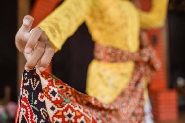 Geleneksel bir japon dansçısının portresi