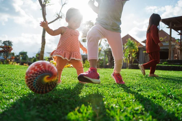 Маленькая девочка любила играть в мяч вместе на заднем дворе — стоковое фото