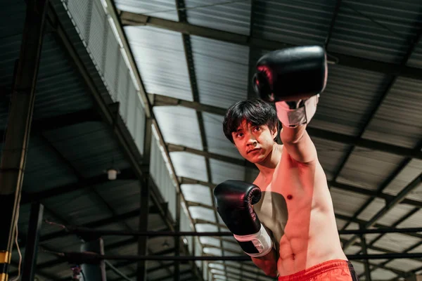 Portrait of professional male boxer make a hitting motion with the copyspace beside it