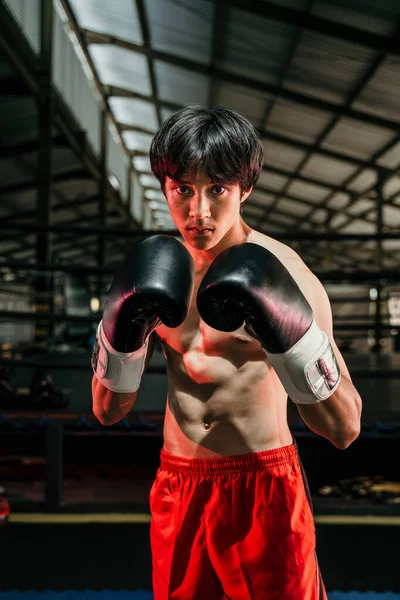 Kaslı genç adam boks eldiveni giyiyor. — Stok fotoğraf