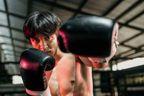 Stark ung man står i boxningshandskar med knytnäve i arenan — Stockfoto