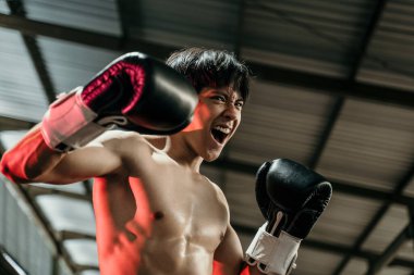 Boksör, metin boşluğu ile gücünü gösteren kızgın bakışlar atıyor