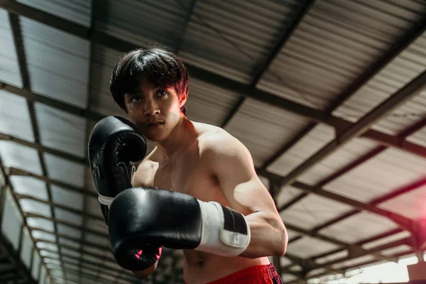 Sportsman muay thai boxer fighting in gloves with the copyspace — Stock Photo, Image