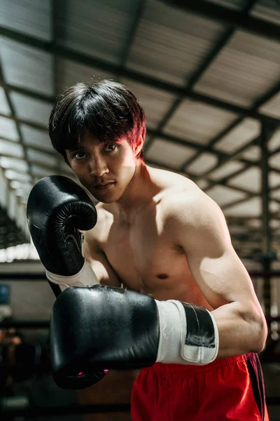 Primer plano del deportista muay thai boxeador luchando en guantes —  Fotos de Stock