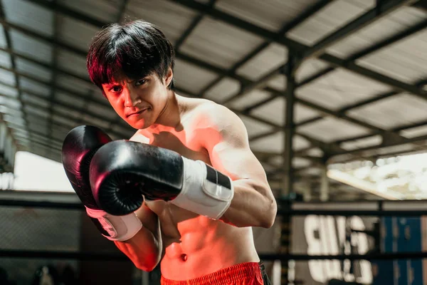Крупным планом красивый тайский боксер-муай, сражающийся в перчатках с копирайтом — стоковое фото