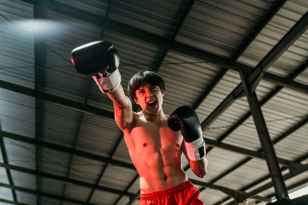 Young man looking aggressive with boxing gloves make a punch motion — Stock Photo, Image