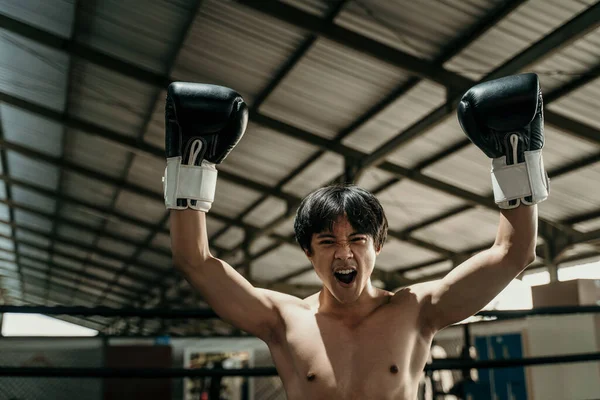 close up of handsome muay thai boxer in boxing gloves when winning raises both hands with copyspace