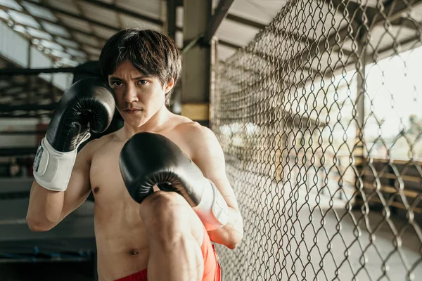 Lutador final em luvas de boxe com pontapé no joelho — Fotografia de Stock