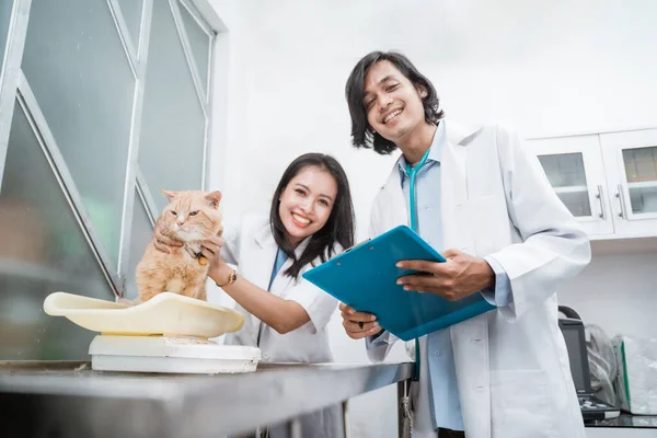 healthy cat is being held and weighed by two smiling vets looking at the camera