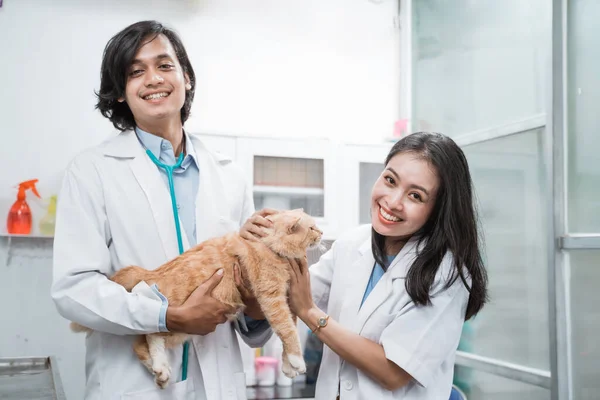 Dois veterinários sorridentes olhando para a câmera ao verificar gato — Fotografia de Stock