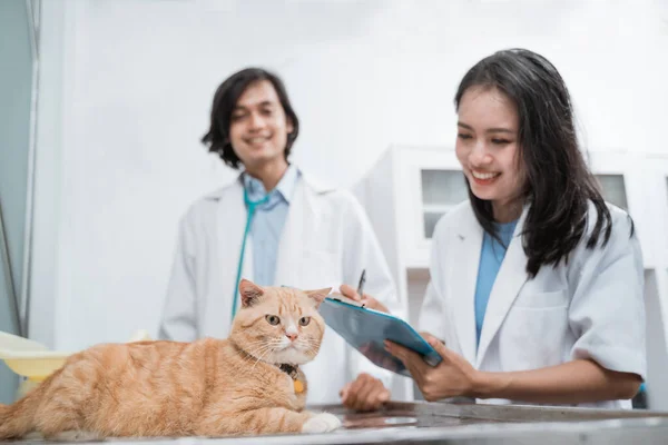 Um gato sentado em uma mesa é observado por um médico feminino tomando notas usando uma área de transferência contra um veterinário masculino — Fotografia de Stock