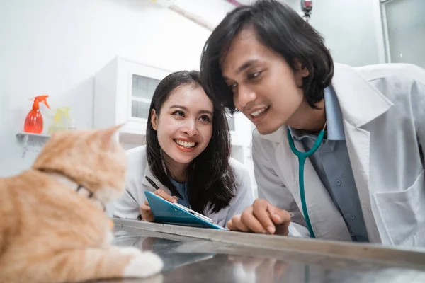 Par de veterinários observando um gato marrom — Fotografia de Stock