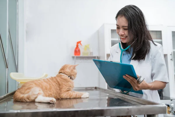 Veterinário sorridente examinando um gato na mesa cirúrgica — Fotografia de Stock