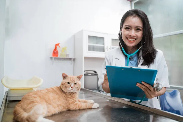 Boldog női állatorvos vizsgálata egy barna macska — Stock Fotó