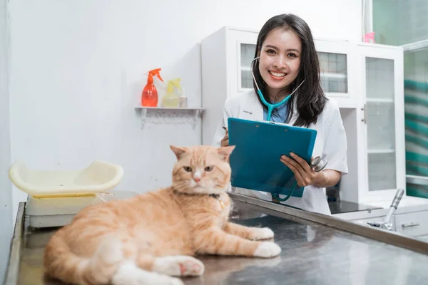 Gyönyörű állatorvos vizsgálja a macska a műtéti asztalon — Stock Fotó