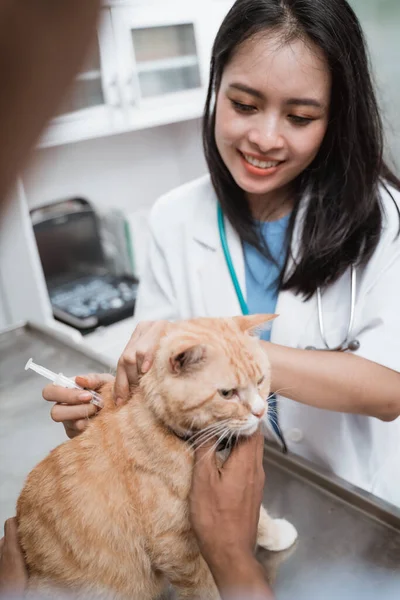 Veterinário fêmea dando injeção a um gato marrom — Fotografia de Stock