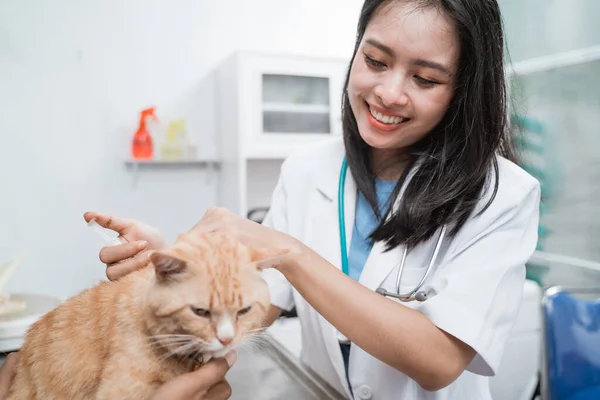 Veterinário feliz dando injeção a um gato — Fotografia de Stock