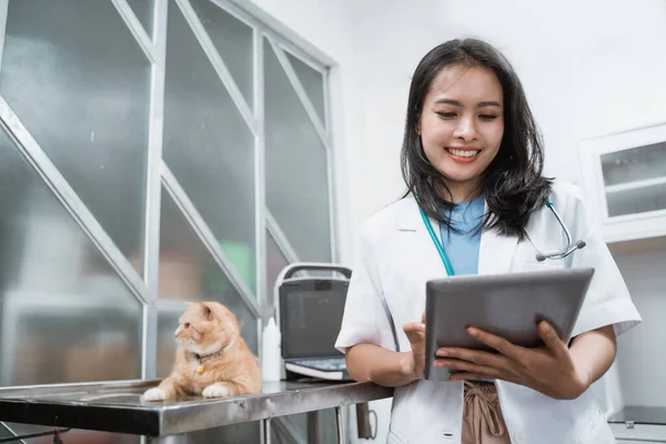 Fiatal állatorvos mosolyog használata közben digitális tabletta mellett egy macska ül az asztalon — Stock Fotó