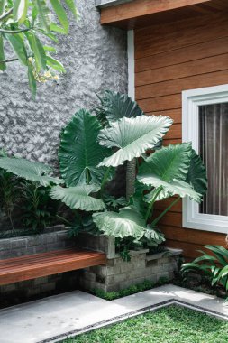 Tropik Bahçe Bahçesi