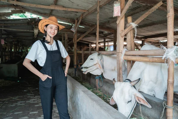 牛の牛小屋でカウボーイハットをかぶっている自信のある女性農家 — ストック写真