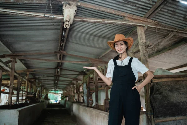 大きな牛の安定した状態で帽子をかぶっている間に手で何かを運ぶカウボーイ女性 — ストック写真