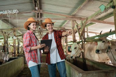 Çiftlik sahibi yastığı kullandığında parmak işareti yapan bir erkek işçi.