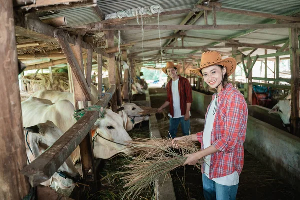 farmer girl wearing a hat smiling to the camera while holding straw background male cattle rancher