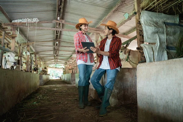 the cow farmer couple looks at each other while using the tablet together