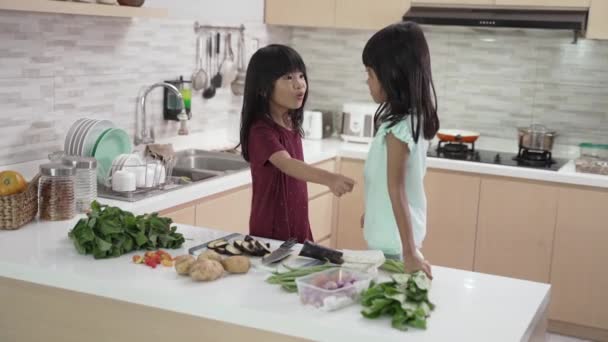부엌에서 저녁을 준비하고 요리하고 있는 아름다운 두 소녀 — 비디오