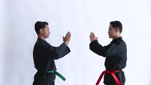 Two Asian men wearing pencak silat uniforms stand opposite each other with mutual respect — Stock Video