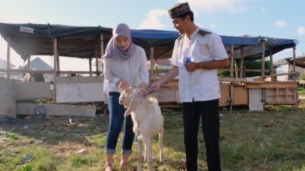 一对穆斯林夫妇买了一只山羊作为宰牲节的祭品或idul qurban — 图库视频影像