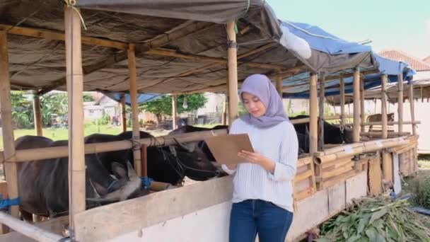 Muslim θηλυκό αγρότης σίτιση ζώων — Αρχείο Βίντεο