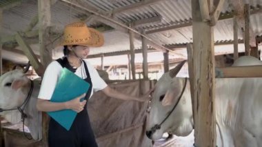 Kovboy kız inek kafesinde şapka takıyor.