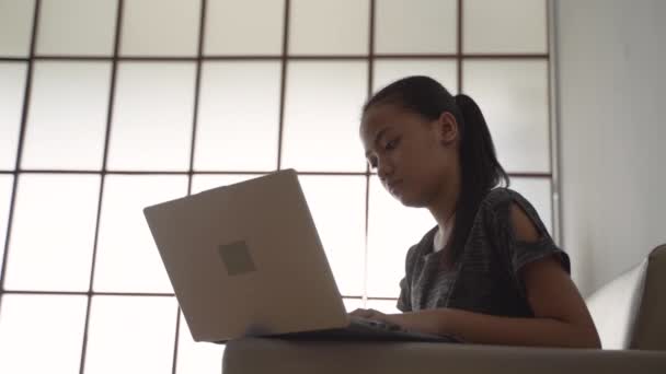 Beautiful student studying sitting on a sofa at home — Stock Video