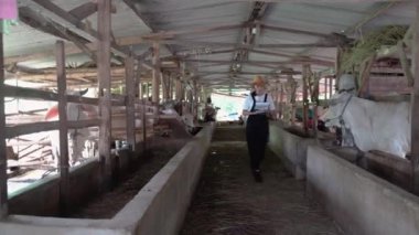 Kovboy kız inek kafesinde şapka takıyor.