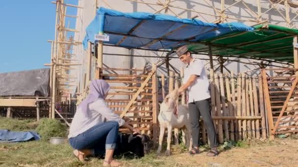 Pareja musulmana comprar una cabra para eid adha sacrificio o qurban idul — Vídeos de Stock