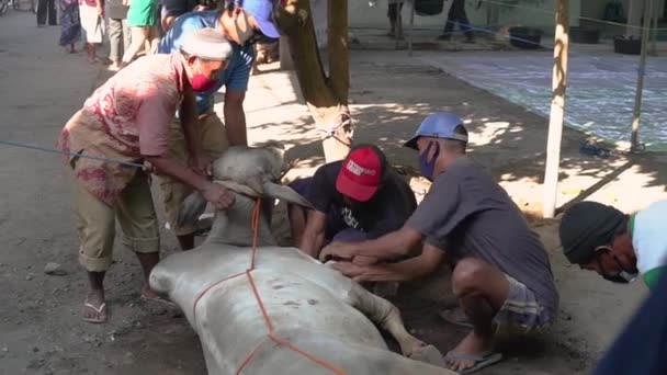 Yogyakarta Indonésie, 31 juillet 2020 : peuple indonésien pendant la célébration de l'Aïd Adha — Video