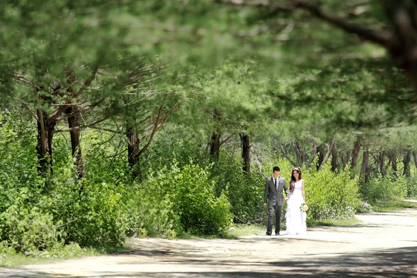 Romantique jeune couple nouvellement marié marchant par à la forêt — Photo