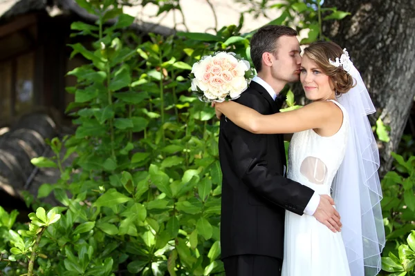 Brudgummen kyssa sin brud — Stockfoto